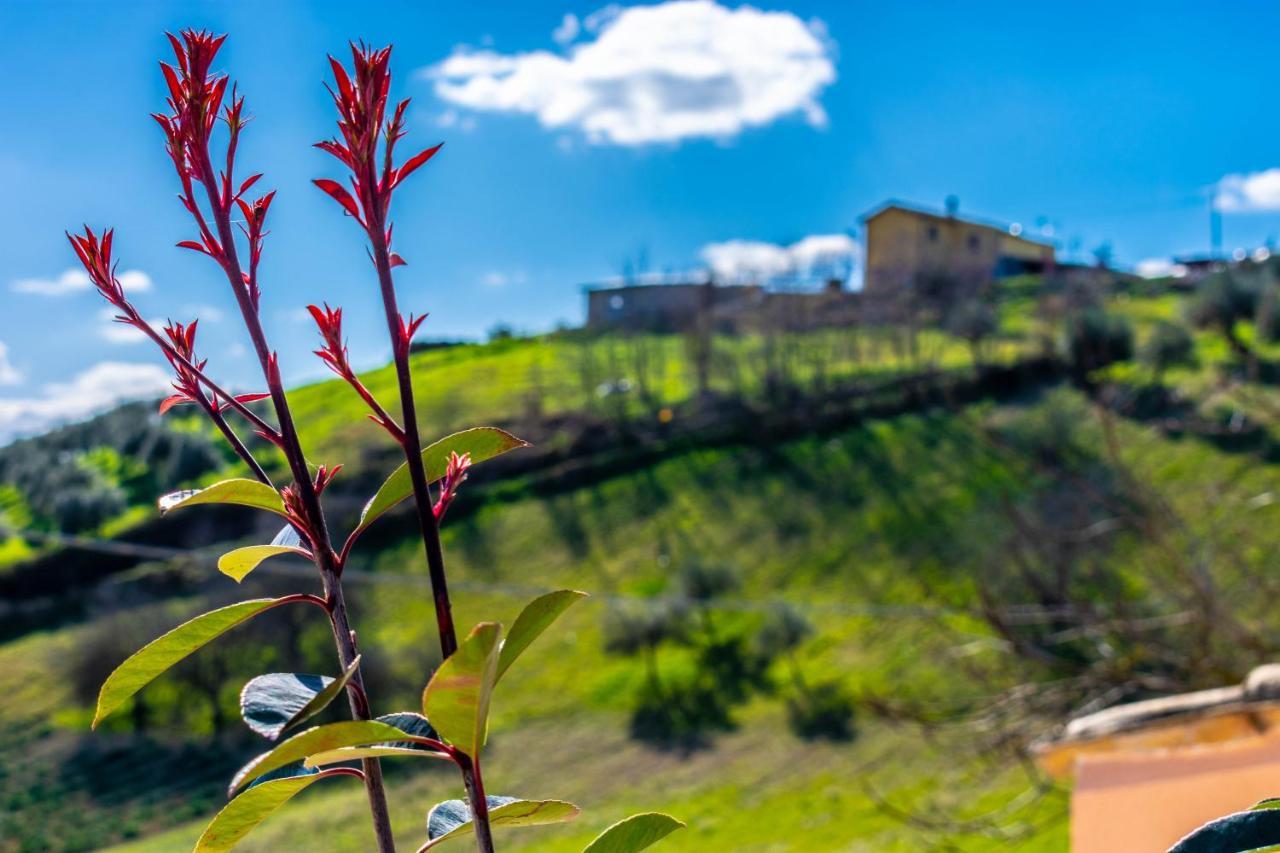 La Casa Del Nonno Spoltore Exterior foto